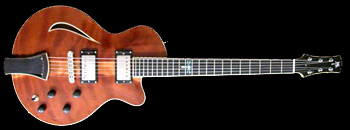 Guitar #050